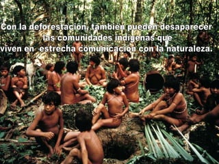 Con la deforestación, también pueden desaparecer las comunidades indígenas queviven en  estrecha comunicación con la naturaleza.