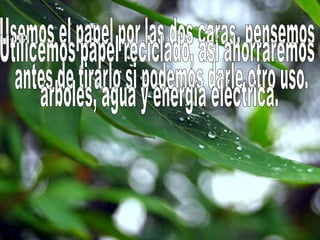Usemos el papel por las dos caras, pensemos  antes de tirarlo si podemos darle otro uso.Utilicemos papel reciclado, así ahorraremos árboles, agua y energía eléctrica.