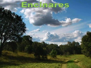 Encinares