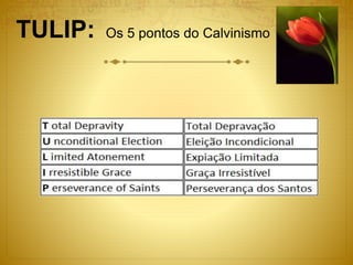 TULIP: Os 5 pontos do Calvinismo
 