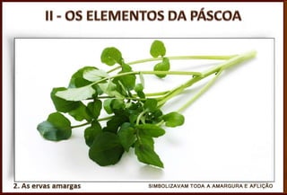 Perguntas
Pr. Moisés Sampaio de Paula
37
4. Quais os elementos da primeira Páscoa?
R. Pães asmos, ervas amargas e cordeiro.
 