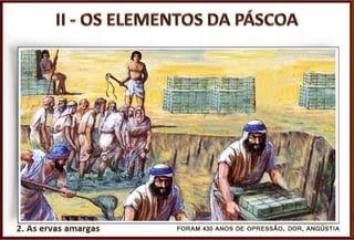 Perguntas
Pr. Moisés Sampaio de Paula
38
4. Quais os elementos da primeira Páscoa?
R. Pães asmos, ervas amargas e cordeiro.
 