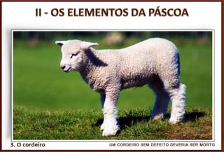 II. - OS ELEMENTOS DA PÁSCOA
Pr. Moisés Sampaio de Paula
39
 Simbolizavam toda a amargura e
aflição enfrentadas no cativeiro.
Foram 430 anos de opressão, dor,
angústia, quando os hebreus eram
cativos do Egito.
2. As ervas amargas (Êx 12.8)
 