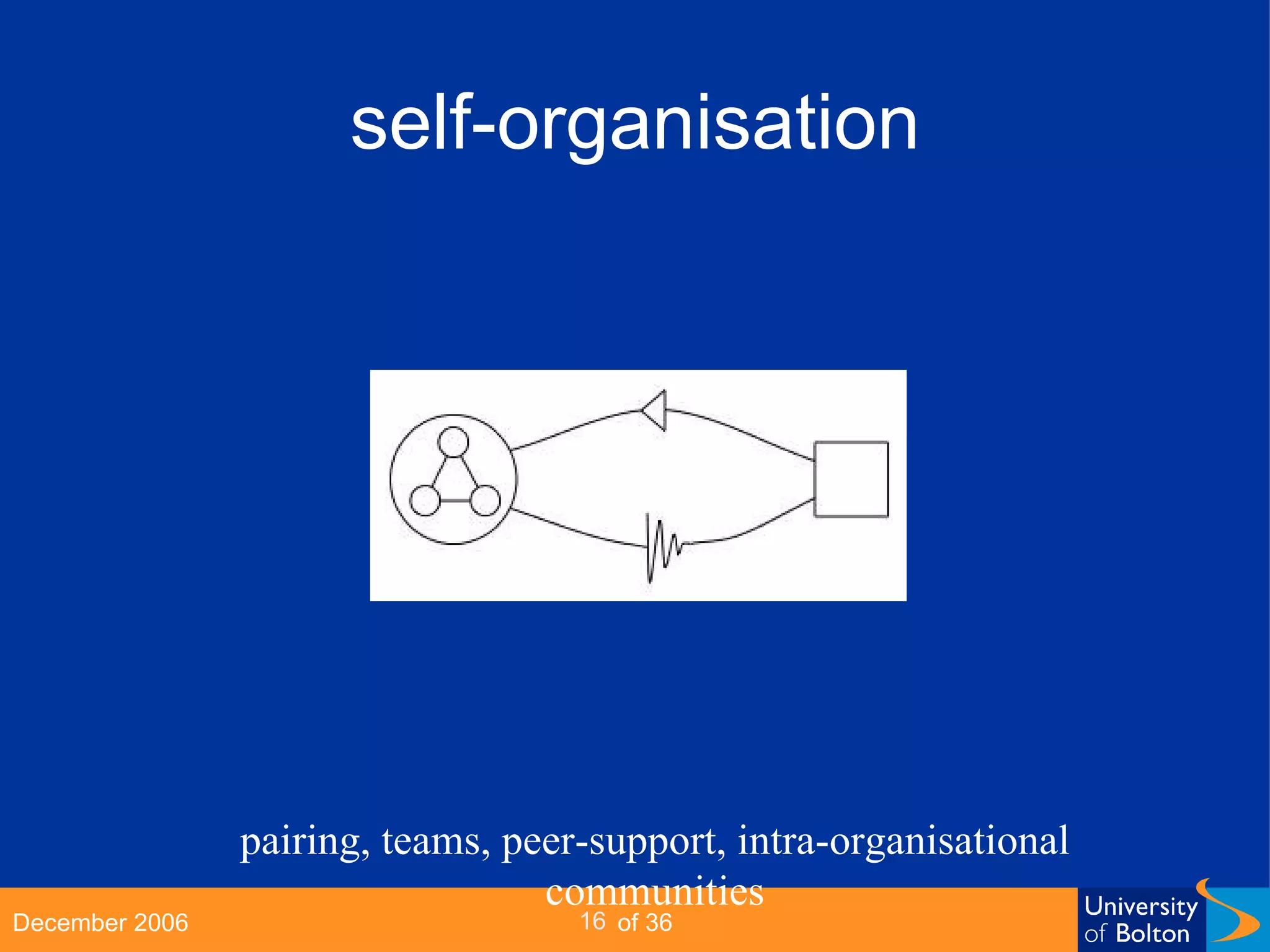 self-organisation pairing, teams, peer-support, intra-organisational communities 