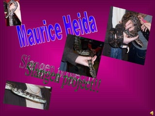 Maurice Heida  Slangen project!! 