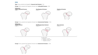 Comprehensive AO Classification of Axial and Appendicular Skeleton ...