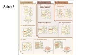 Comprehensive AO Classification of Axial and Appendicular Skeleton ...
