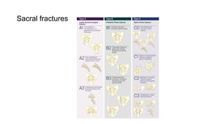 Comprehensive AO Classification of Axial and Appendicular Skeleton ...