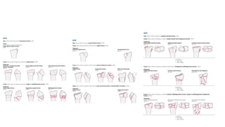 Comprehensive AO Classification of Axial and Appendicular Skeleton ...