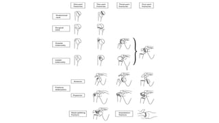 Comprehensive AO Classification of Axial and Appendicular Skeleton ...