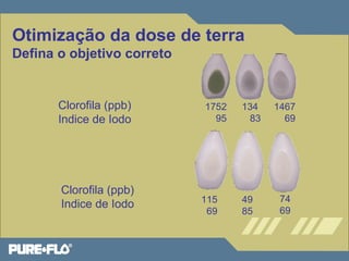 Otimização da dose de terra 
Defina o objetivo correto 
Clorofila (ppb) 
Indice de Iodo 
Clorofila (ppb) 
Indice de Iodo 
1752 
95 
134 
83 
1467 
69 
115 
69 
49 
85 
74 
69 
 