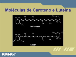 Moléculas de Caroteno e Luteina 
 