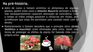 Na pré-história.
 Além de carne o homem primitivo se alimentava de algumas
plantas, porém estas como a Amanita Muscaria saciavam a fome,
mas consequentemente causavam alterações da consciência. Com
o tempo as tribos antigas passaram a utiliza-las em rituais, pois
acreditavam que estas lhe permitiam uma conexão maior com os
deuses.
 Posteriormente o homem descobriu que o principio ativo (ácido
ibotênico e muscimol) eram eliminados pela urina. Assim uma
forma de prolongar os efeitos da planta foi fazendo chás com a
própria urina.
 