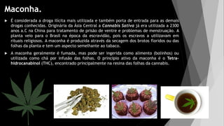 Maconha.
 É considerada a droga ilícita mais utilizada e também porta de entrada para as demais
drogas conhecidas. Originária da Ásia Central a Cannabis Sativa já era utilizada a 2300
anos a.C na China para tratamento de prisão de ventre e problemas de menstruação. A
planta veio para o Brasil na época da escravidão, pois os escravos a utilizavam em
rituais religiosos. A maconha é produzida através da secagem dos brotos floridos ou das
folhas da planta e tem um aspecto semelhante ao tabaco.
 A maconha geralmente é fumada, mas pode ser ingerida como alimento (bolinhos) ou
utilizada como chá por infusão das folhas. O principio ativo da maconha é o Tetra-
hidrocanabinol (THC), encontrado principalmente na resina das folhas da cannabis.
 