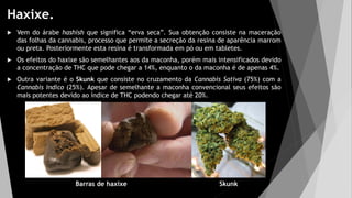 Haxixe.
 Vem do árabe hashish que significa “erva seca”. Sua obtenção consiste na maceração
das folhas da cannabis, processo que permite a secreção da resina de aparência marrom
ou preta. Posteriormente esta resina é transformada em pó ou em tabletes.
 Os efeitos do haxixe são semelhantes aos da maconha, porém mais intensificados devido
a concentração de THC que pode chegar a 14%, enquanto o da maconha é de apenas 4%.
 Outra variante é o Skunk que consiste no cruzamento da Cannabis Sativa (75%) com a
Cannabis Indico (25%). Apesar de semelhante a maconha convencional seus efeitos são
mais potentes devido ao índice de THC podendo chegar até 20%.
Barras de haxixe Skunk
 