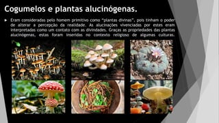 Cogumelos e plantas alucinógenas.
 Eram consideradas pelo homem primitivo como “plantas divinas”, pois tinham o poder
de alterar a percepção da realidade. As alucinações vivenciadas por estes eram
interpretadas como um contato com as divindades. Graças as propriedades das plantas
alucinógenas, estas foram inseridas no contexto religioso de algumas culturas.
 