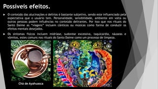Possíveis efeitos.
 O conteúdo das alucinações e delírios é bastante subjetivo, sendo este influenciado pela
expectativa que o usuário tem. Personalidade, sensibilidade, ambiente em volta ou
outras pessoas podem influências no conteúdo delirantes. Por isso que nos rituais do
Santo Daime as “viagens” incluem cânticos ou músicas como forma de conduzir os
efeitos mentais desejados.
 Os sintomas físicos incluem midríase, sudorese excessiva, taquicardia, náuseas e
vômitos, estes comuns nos rituais do Santo Daime como um processo de limpeza.
Chá de Ayahuasca
 