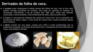 Derivados da folha de coca.
 A cocaína como conhecemos é obtida através das folhas de coca, mas só tem valor
quando refinada (cloridrato de cocaína). Esta pode ser aspirada ou injetada via
intravenosa. Dificilmente o pó de cocaína vem 100% puro, sendo este batizado
(misturado) a outros produtos, como bicarbonato de sódio, talco ou pó de arroz.
 O Crack é a conversão do cloridrato de cocaína em “base livre” ao ser misturado com
bicarbonato de sódio e água. É uma forma de cocaína mais viciante perdendo apenas
para a heroína.
 A Merla consiste em uma pasta, cocaína sem refino e muito contaminada com as
substancias utilizadas na extração do princípio ativo. É preparada de forma diferente ao
crack, mas também é fumada.
 