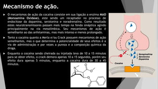 Mecanismo de ação.
 O mecanismos de ação da cocaína consiste em sua ligação a enzima MAO
(Monoamína Oxidase), este sendo um recaptador no processo de
endocitose da dopamina, serotonina e noradrenalina. Como resultado
estes neurotransmissores passam mais tempo na fenda sináptica agindo
principalmente na via mesolímbica. Seu mecanismos de ação é
semelhante ao das anfetaminas, mas mais intenso e menos prolongado.
 Tanto a cocaína quanto a Merla e/ou Crack possuem mecanismos de ação
semelhantes, mas o que determina a potencialidade de seus efeitos é a
via de administração e por vezes a pureza e a composição química da
droga.
 Enquanto a cocaína sendo cheirada ou injetada leva de 10 a 15 minutos
para se obter efeito, o crack demora apenas 10 a 15 segundos, porém seu
efeito dura apenas 5 minutos, enquanto a cocaína dura de 30 a 45
minutos.
 