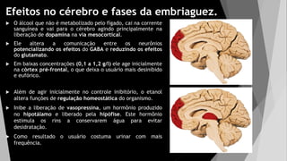 Efeitos no cérebro e fases da embriaguez.
 O álcool que não é metabolizado pelo fígado, cai na corrente
sanguínea e vai para o cérebro agindo principalmente na
liberação de dopamina na via mesocortical.
 Ele altera a comunicação entre os neurônios
potencializando os efeitos do GABA e reduzindo os efeitos
do glutamato.
 Em baixas concentrações (0,1 a 1,2 g/l) ele age inicialmente
na córtex pré-frontal, o que deixa o usuário mais desinibido
e eufórico.
 Além de agir inicialmente no controle inibitório, o etanol
altera funções de regulação homeostática do organismo.
 Inibe a liberação de vasopressina, um hormônio produzido
no hipotálamo e liberado pela hipófise. Este hormônio
estimula os rins a conservarem água para evitar
desidratação.
 Como resultado o usuário costuma urinar com mais
frequência.
 