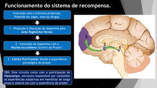 Funcionamento do sistema de recompensa.
Interação com o estimulo prazeroso.
Podendo ser jogos, sexo ou drogas.
1 - Produção e liberação de dopamina pela
Área Tegmental Vental.
2 - Interação da dopamina com o
Núcleo Accumbens (Centro do Prazer).
3 - Córtex Pré-Frontal: Dando a experiência
psicológica do prazer.
OBS: Este circuito conta com a participação do
Hipocampo, estrutura responsável por consolidar
as experiências subjetivas em memórias de longo
prazo e associa-las com a experiência de prazer.
1
2
3
 