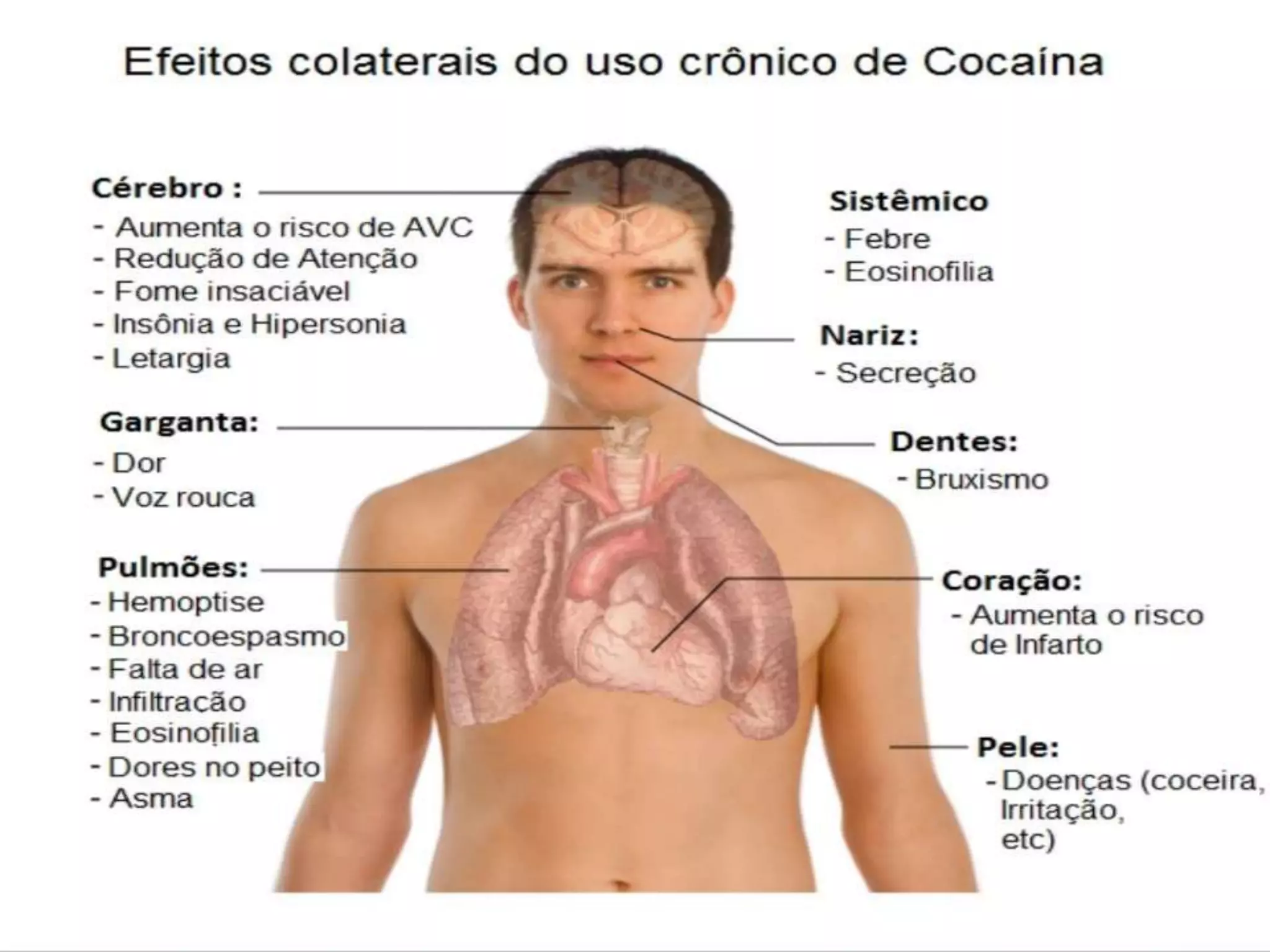 Ação das drogas sobre o sistema nervoso | PPTX