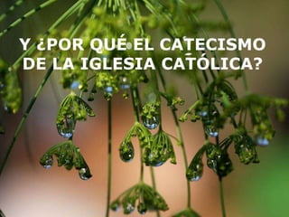 Y ¿POR QUÉ EL CATECISMO
DE LA IGLESIA CATÓLICA?