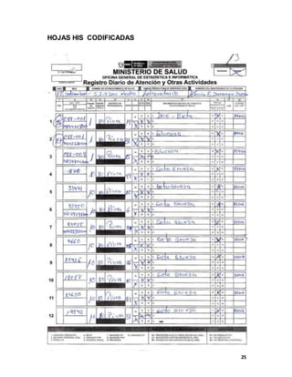 25
HOJAS HIS CODIFICADAS
 