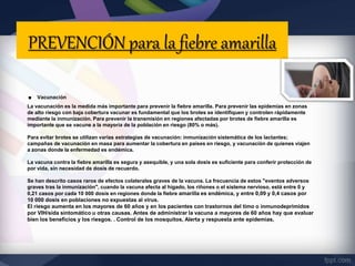 PREVENCIÓN para la fiebre amarilla
. Vacunación
La vacunación es la medida más importante para prevenir la fiebre amarilla. Para prevenir las epidemias en zonas
de alto riesgo con baja cobertura vacunar es fundamental que los brotes se identifiquen y controlen rápidamente
mediante la inmunización. Para prevenir la transmisión en regiones afectadas por brotes de fiebre amarilla es
importante que se vacune a la mayoría de la población en riesgo (80% o más).
Para evitar brotes se utilizan varias estrategias de vacunación: inmunización sistemática de los lactantes;
campañas de vacunación en masa para aumentar la cobertura en países en riesgo, y vacunación de quienes viajen
a zonas donde la enfermedad es endémica.
La vacuna contra la fiebre amarilla es segura y asequible, y una sola dosis es suficiente para conferir protección de
por vida, sin necesidad de dosis de recuerdo.
Se han descrito casos raros de efectos colaterales graves de la vacuna. La frecuencia de estos "eventos adversos
graves tras la inmunización", cuando la vacuna afecta al hígado, los riñones o el sistema nervioso, está entre 0 y
0,21 casos por cada 10 000 dosis en regiones donde la fiebre amarilla es endémica, y entre 0,09 y 0,4 casos por
10 000 dosis en poblaciones no expuestas al virus.
El riesgo aumenta en los mayores de 60 años y en los pacientes con trastornos del timo o inmunodeprimidos
por VIH/sida sintomático u otras causas. Antes de administrar la vacuna a mayores de 60 años hay que evaluar
bien los beneficios y los riesgos. . Control de los mosquitos, Alerta y respuesta ante epidemias,
 