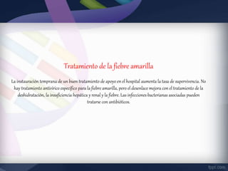 Tratamiento de la fiebre amarilla
La instauración temprana de un buen tratamiento de apoyo en el hospital aumenta la tasa de supervivencia. No
hay tratamiento antivírico específico para la fiebre amarilla, pero el desenlace mejora con el tratamiento de la
deshidratación, la insuficiencia hepática y renal y la fiebre. Las infecciones bacterianas asociadas pueden
tratarse con antibióticos.
 