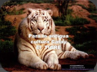 Para la antigua cultura CatayEl  TIGRE
