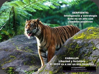 SERPIENTE:Inteligencia y estrategiaEste es un año con cambios positivosCABALLO:Libertad y fortalezaEl 2010 va a ser un año benéfico