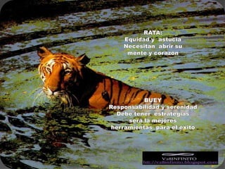 RATA:Equidad y  astuciaNecesitan  abrir su mente y corazónBUEYResponsabilidad y serenidadDebe tener  estrategias  será la mejores herramientas  para el éxito