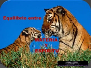 Equilibrio entre MATERIAYESPIRITU