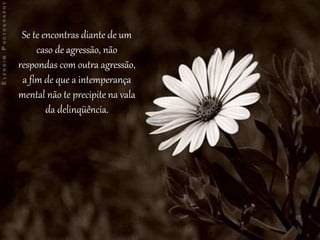 Se te encontras diante de um
caso de agressão, não
respondas com outra agressão,
a fim de que a intemperança
mental não te precipite na vala
da delinqüência.
 