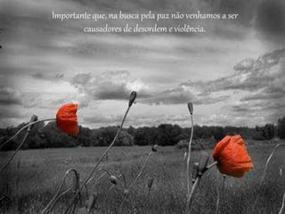 Importante que, na busca pela paz não venhamos a ser
causadores de desordem e violência.
 