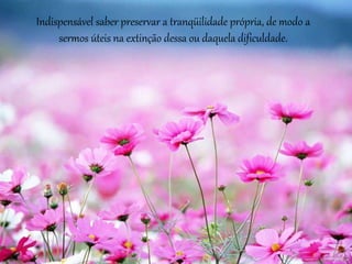 Indispensável saber preservar a tranqüilidade própria, de modo a
sermos úteis na extinção dessa ou daquela dificuldade.
 