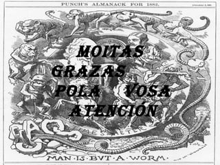 MoitAs
grAzAs
PolA vosA
 Atención
 