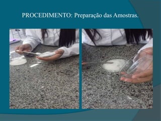 PROCEDIMENTO: Preparação das Amostras.
 