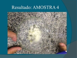 Resultado: AMOSTRA 4
 