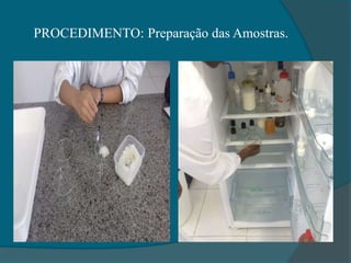 PROCEDIMENTO: Preparação das Amostras.
 