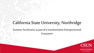 California State University, Northridge
Summer Accelerator as part of a transformativeEntrepreneurial
Ecosystem
 