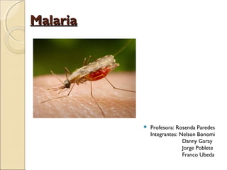 Malaria




             Profesora: Rosenda Paredes
              Integrantes: Nelson Bonomi
                            Danny Garay
                            Jorge Poblete
                            Franco Ubeda
 