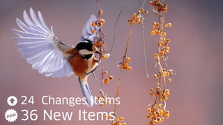 20 22.11.17
24 Changes Items
36 New Items
 