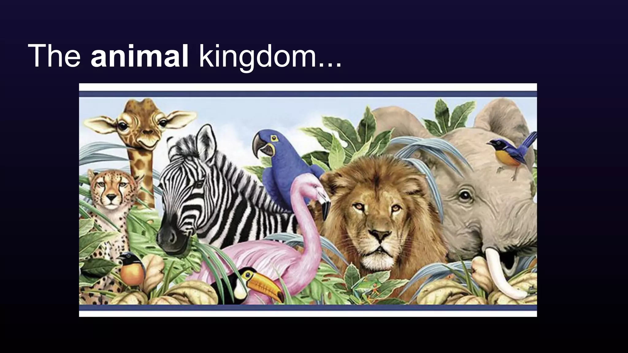 The animal kingdom...
 