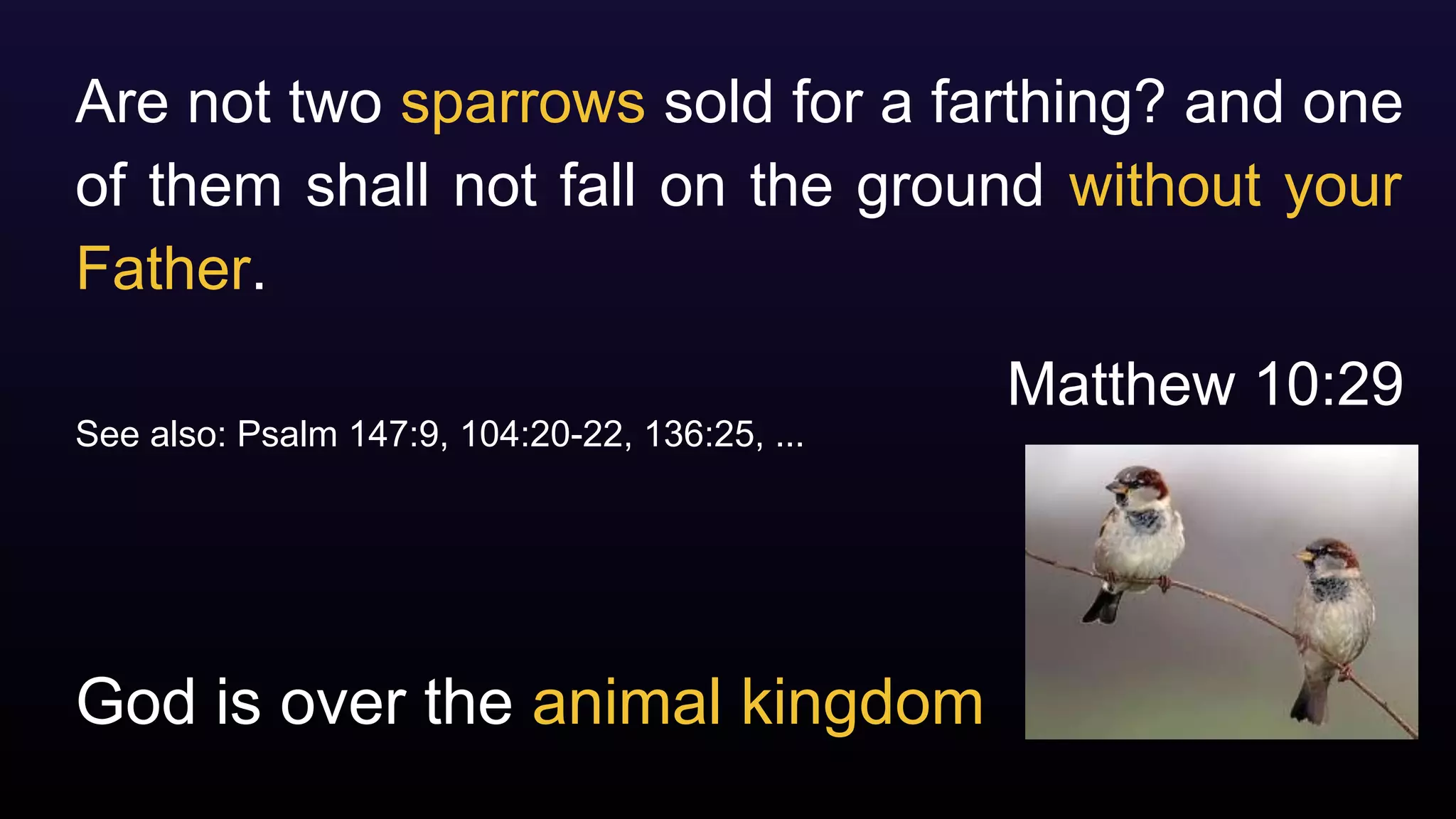 God is over the animal kingdom
Are not two sparrows sold for a farthing? and one
of them shall not fall on the ground without your
Father.
Matthew 10:29
See also: Psalm 147:9, 104:20-22, 136:25, ...
 