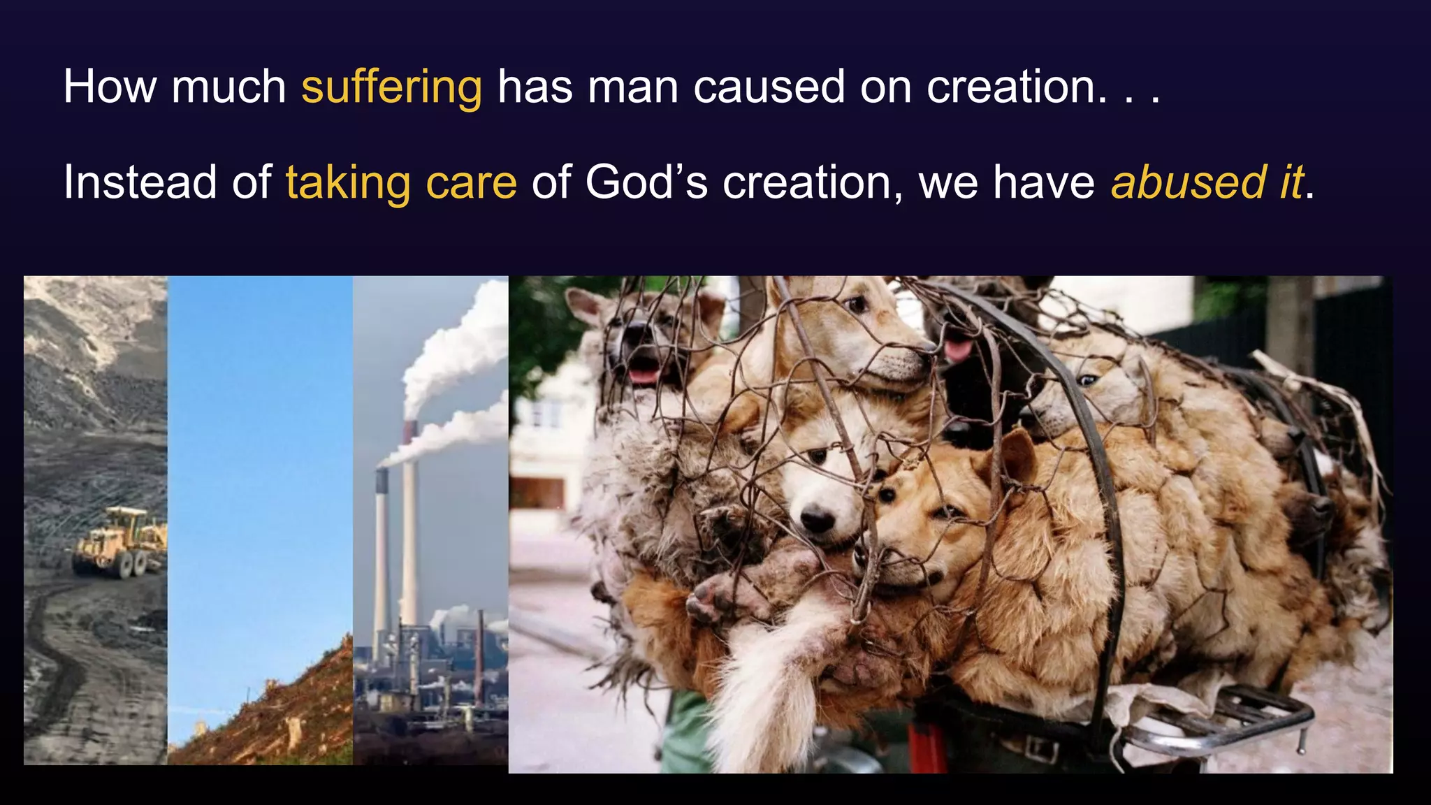 How much suffering has man caused on creation. . .
Instead of taking care of God’s creation, we have abused it.
 