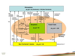 Near real-time measurement of CO2, water and energy fluxes: determining the best available estimates of continental carbon and water fluxes_Cleugh