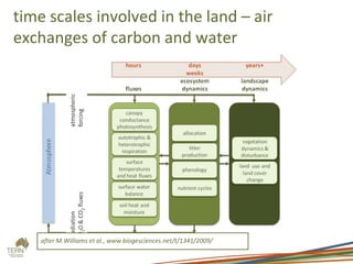 time scales involved in the land – air
exchanges of carbon and water
after M.Williams et al., www biogesciences.net/t/1341/2009/
 