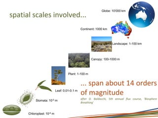 spatial scales involved...
... span about 14 orders
of magnitude
after D. Baldocchi, 5th annual flux course, 'Biosphere
Breathing'
Chloroplast: 10-6 m
Stomata: 10-5 m
Plant: 1-100 m
Leaf: 0.01-0.1 m
Canopy: 100-1000 m
Globe: 10'000 km
Landscape: 1-100 km
Continent: 1000 km
 